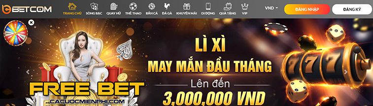 Chiến dịch quảng bá 85Bet đã thu hút 88000 lượt xem! - 85Bet