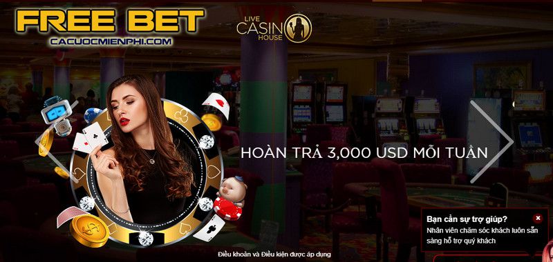 Hiểu sơ lược về Vg99 - Vg99