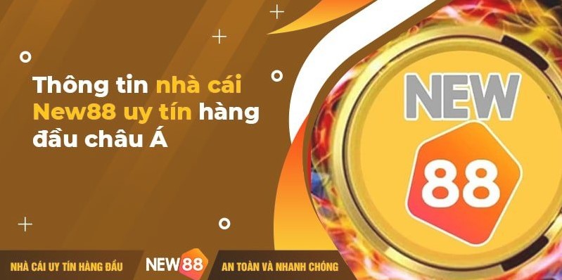 Tổng quan về một số đặc điểm chính của 69Vn - 69Vn