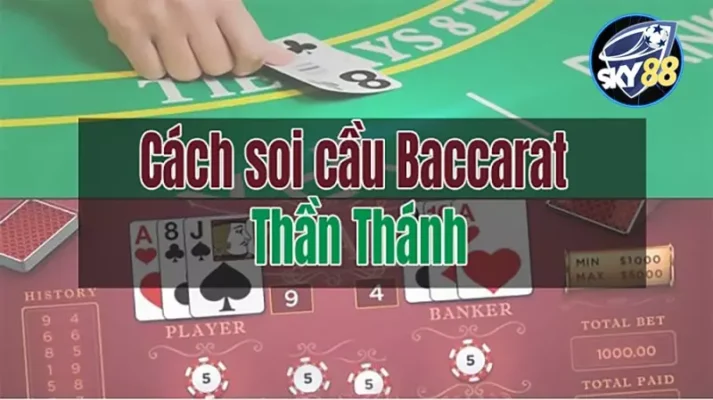 "Trò chơi chọi gà trực tuyến 100Win" nghĩa là gì? - 100Win