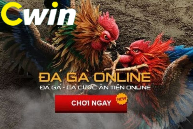 Jdb777 sẽ tặng 100000 xu vàng, độc quyền cho những người chơi game trên ứng dụng - Jdb777