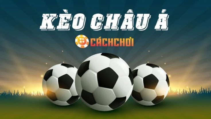 Trải nghiệm dịch vụ K8cc trên điện thoại di động của bạn - K8cc