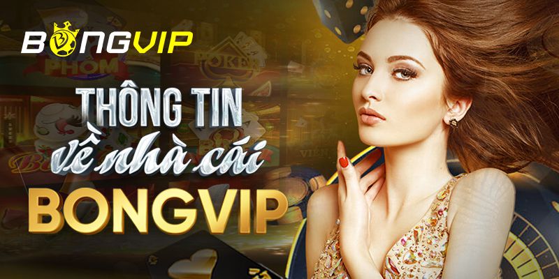 Các hoạt động quảng bá của Ok22 có những điểm hấp dẫn nào? - Ok22