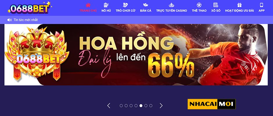 Sức hấp dẫn của các hoạt động quảng bá cấp Zalv - Zalv