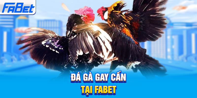 Liệu 789Club có thực sự tặng 100000 đô la không? - 789Club