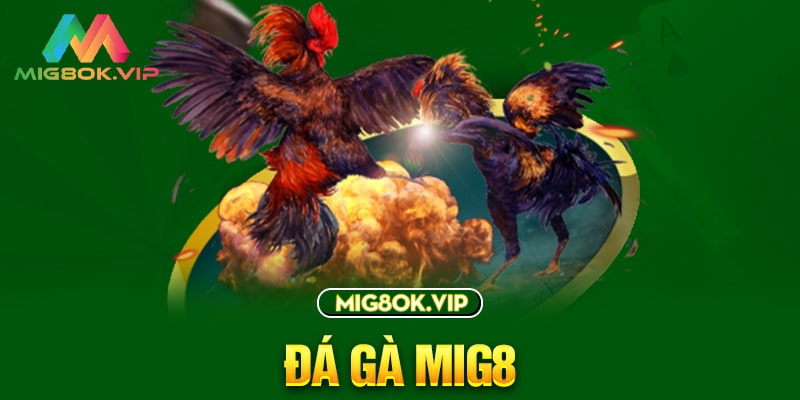 Cá cược chẵn/lẻ 117Bet là gì? - 117Bet