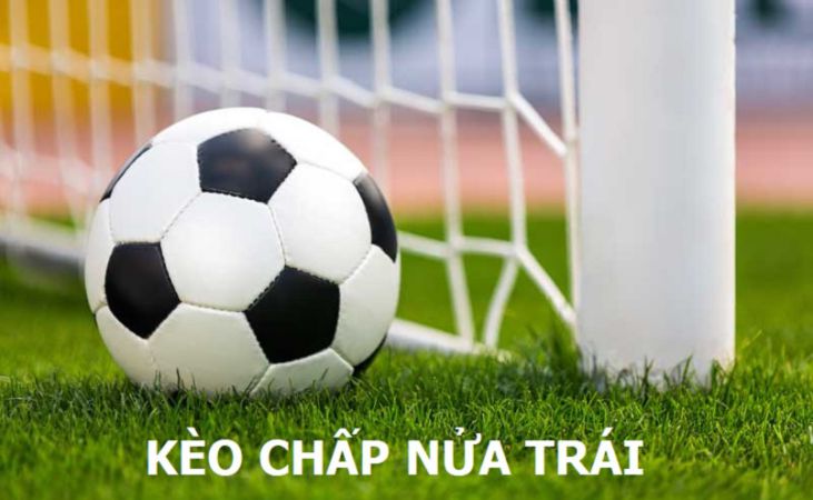 Nền tảng 88T cung cấp các dịch vụ giải trí miễn phí - 88T