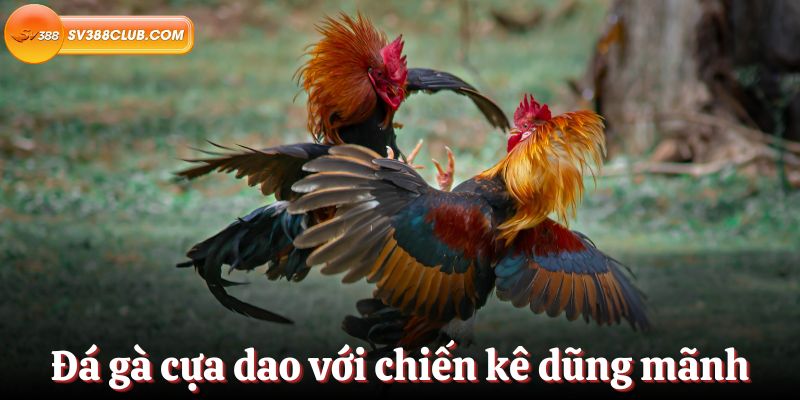 Bạn có thể dễ dàng nạp tiền vào thẻ Vin77 bằng tài khoản ngân hàng của mình - Vin77