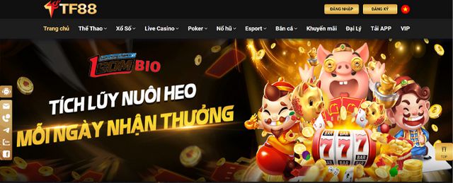13Win Bet cũng coi trọng các khía cạnh khác - 13Win