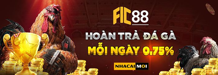 Tổng quan về Pg88, Cổng thông tin trò chơi hàng đầu châu Âu - Pg88