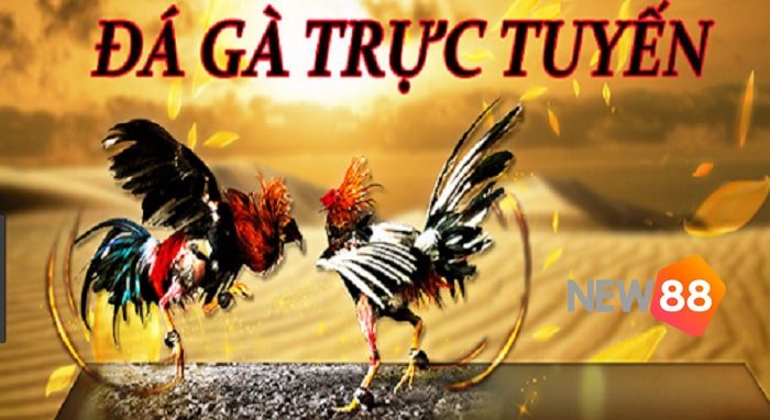 Tổng quan về Công ty Game Fconline - Fconline